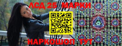 крисы Будённовск