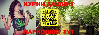 крисы Будённовск