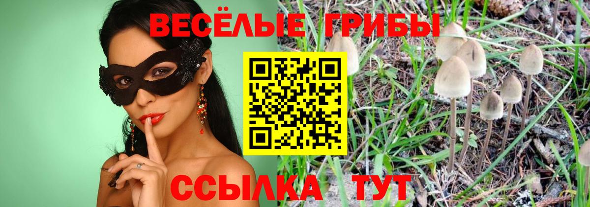 Псилоцибиновые грибы Psilocybine cubensis  Вход с VPN  Галлюциногенные грибы мицелий  Челябинск 